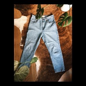 Everlane Cheeky Straight Ankle Jean in Sky Blue